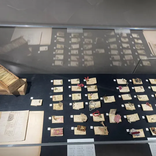 Nuovo allestimento mostra segnali